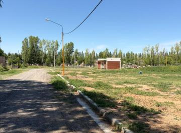 Terreno · Terreno Ubicado a m de Calle Belgrano, Una de Las Arterias Principales de Centenario, El Loteo
