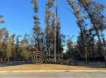 Terreno · 270m² · 270 m² Frente a Plaza y Pequeño Lago| Usd 62.500