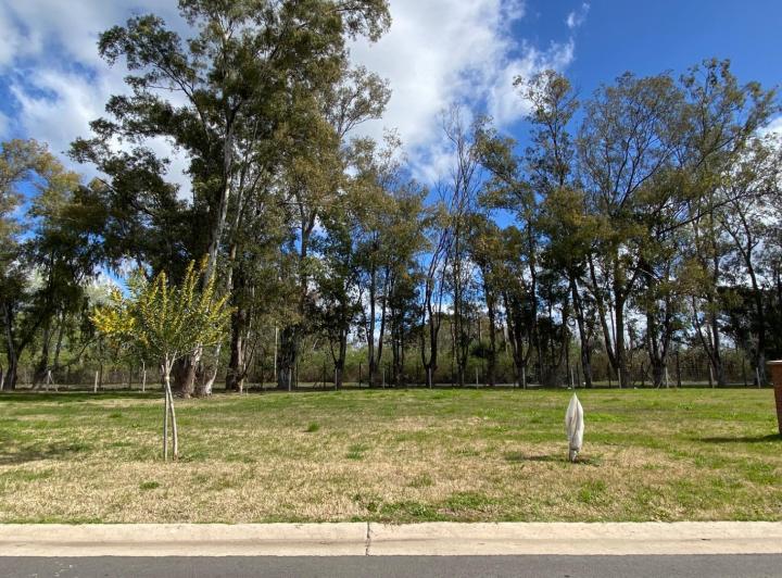 Terreno · 525m²