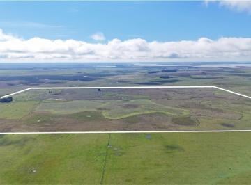 Campo · 2060000ha · Excelente Campo 75% Agrícola en Mar Chiquita
