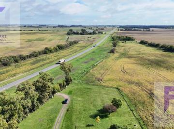 Campo · 670000m² · Campo Productivo de 67 Ha en Venta en Baradero, Prov. Bs. As. Sobre Ruta 41 - Retasado Valor por Ha