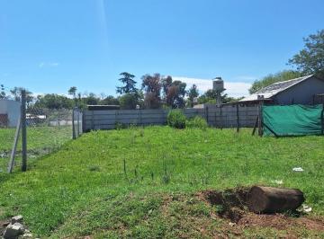 Terreno · 233m² · Venta de Lote 230 m² Francisco Alvarez