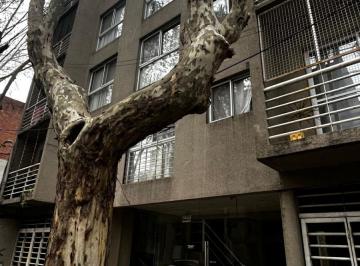 Departamento de 2 ambientes, San Fernando · Departamento en Excelente Ubicacion