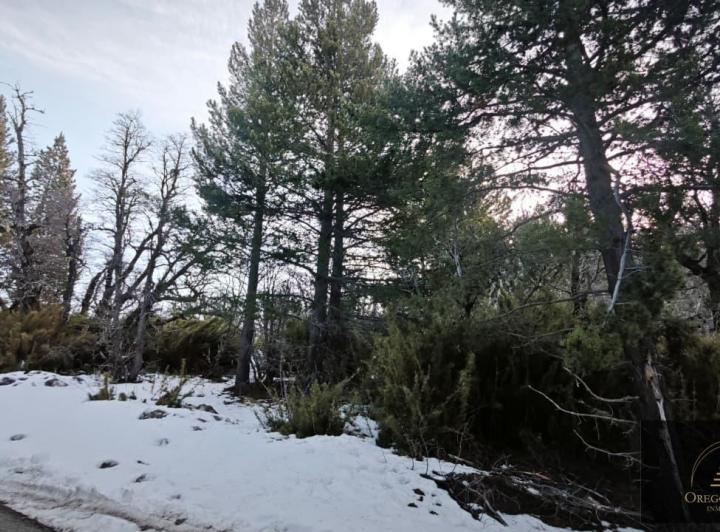 Terreno · 1000m²