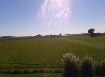 Campo · 500m² · 6 Ambientes · Campo Ranchos, Ruta 29, Pdo. Gral Paz, 225 Ha