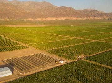 Terreno · 2500m² · Terreno en Tinogasta