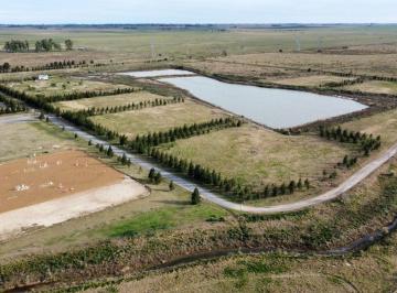Terreno , Funes · Venta Chacras de Haras - Lotes de 1ha Pegados Al Barrio Privado Haras de Funes