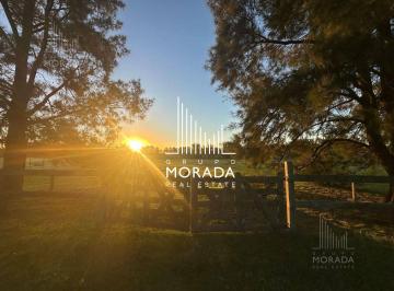 GMM-GMM-125_2 · Venta Lote Central de 5.000 m². Único por Su Ubicación. Oportunidad
