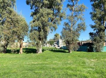 GMM-GMM-161_2 · Terreno en Venta en Santo Tomas Pilar 517 m² Lote Central Acepta Financiacion