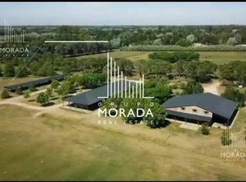 GMM-GMM-216_2 · Venta Terreno Pilar