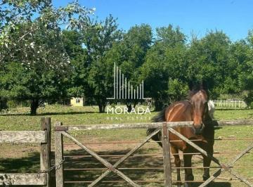 GMM-GMM-217_2 · Venta Lote Central y Arbolado en Haras El Malacate Exaltación de La Cruz