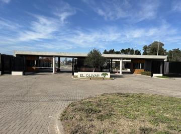 Terreno · 375m² · Terreno en El Olivar en Venta!