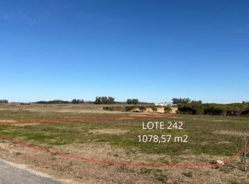 Terreno · 1078m² · Venta | Permuta | Lote 1078 m² a La Laguna | Tres Pinos Villa de Campo Barrio Laguna