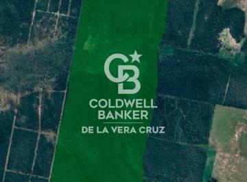 Campo · 3300000ha · Alquiler Campo Ganadero Colonia Silva, Depto San Justo