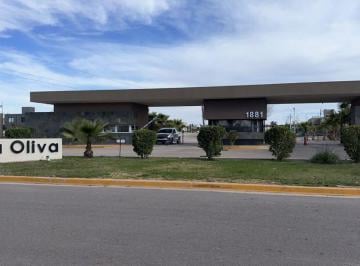 Casa de 4 ambientes, Maipú · Casa en Alquiler a Estrenar – Barrio Vista Oliva | Maipú