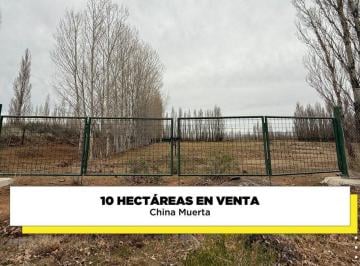 Campo · 10ha · Venta Chacra 10 Hectáreas - China Muerta