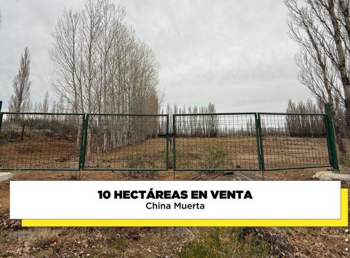 Campo · 10ha