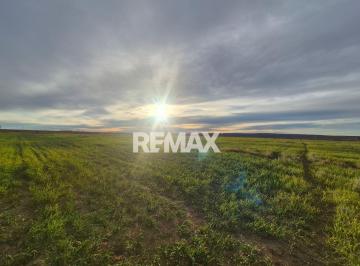 Campo · 5ha · Vende Chacra 5ha Senillosa, Pcia de Neuquen