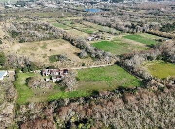 Campo · 110ha · Venta Campo de 6,14 Has en Los Talas - Berisso