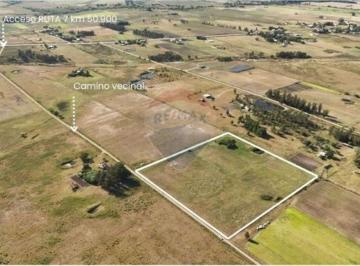 Campo · 3ha · Venta Chacra 3 Has, Ruta 7, San Jacinto.
