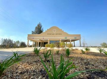 Terreno · 677m² · Lote en Esquina 677 m² Fincas Joven San Vicente