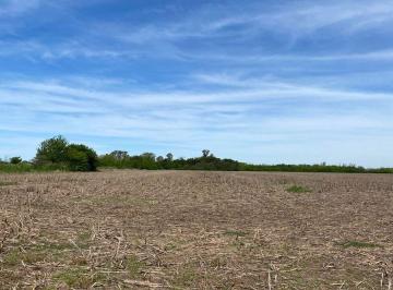 Campo · 13ha · Campo Agricola en Venta en Ayerza Pergamino