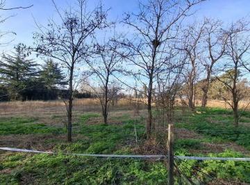 Terreno · 11025m² · Lote en Venta en 9 de Julio