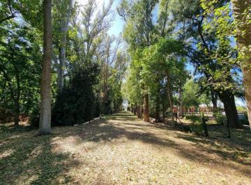 Campo · 1220ha · Venta Chacra 16 Ambientes Salon Eventos Villa Ruiz