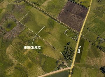 Campo · 90ha · Campo Ganadero en Venta Cañuelas 90 Ha