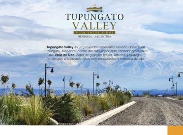 Terreno · 3000m² · Lote de 3000 m² en Tupungato Valley