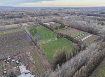 Campo · 50000m² · Venta Chacra Centenario