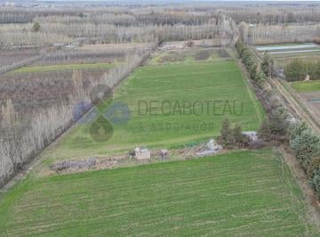 Campo · 50000m² · Venta Chacra Centenario