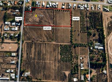Terreno , Mayor Drummond · En Venta Exclusivo Terreno/finca de 2 Ha Sobre Calle Terrada & Manuel A. Saez