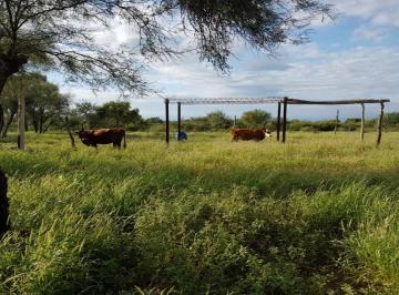 Campo · 2600m² · Casa Campo en Venta en Chamical, La Rioja