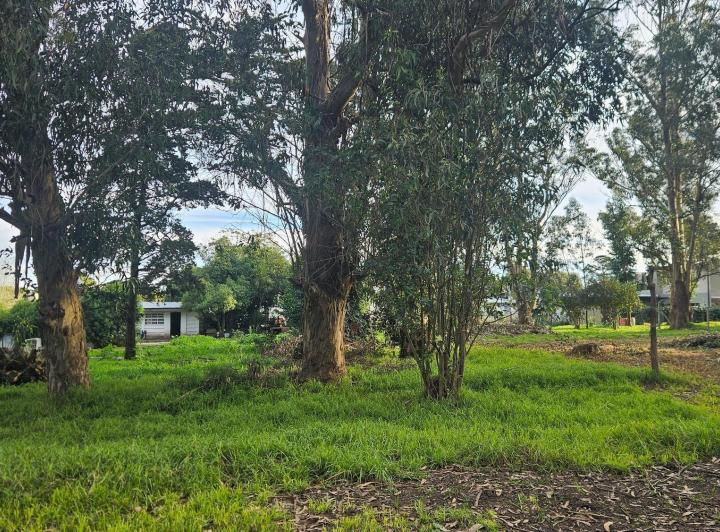 Terreno · 637m²