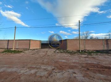 Bodega-Galpón · 300m² · Alquiler de Galpon de Los Sauces