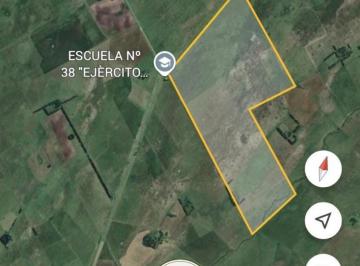 Campo · 290ha · Venta Campo Ganadero 290 Has Sobre Ruta 30