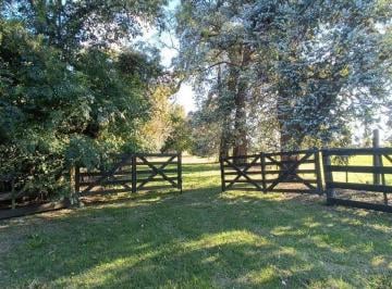 Campo · 100ha · Venta Chacra y Casa 3 Ambientes en Carlos Keen