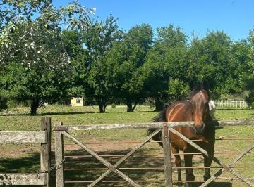 Terreno · 4740m² · Venta Lote Central y Arbolado en Haras El Malacate Exaltación de La Cruz