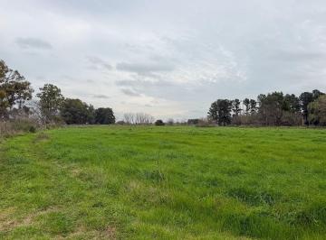Campo · 50000m² · Terreno Campo en Venta en Chenaut, Exaltación de La Cruz, G. B. a. Zona Norte
