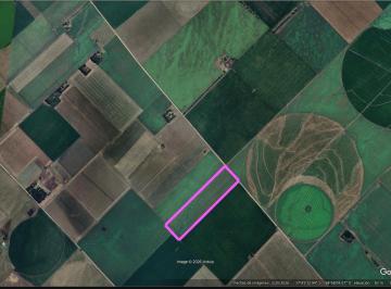 Quinta vacacional · 20000m² · Venta Campo 20ha en Balcarce.