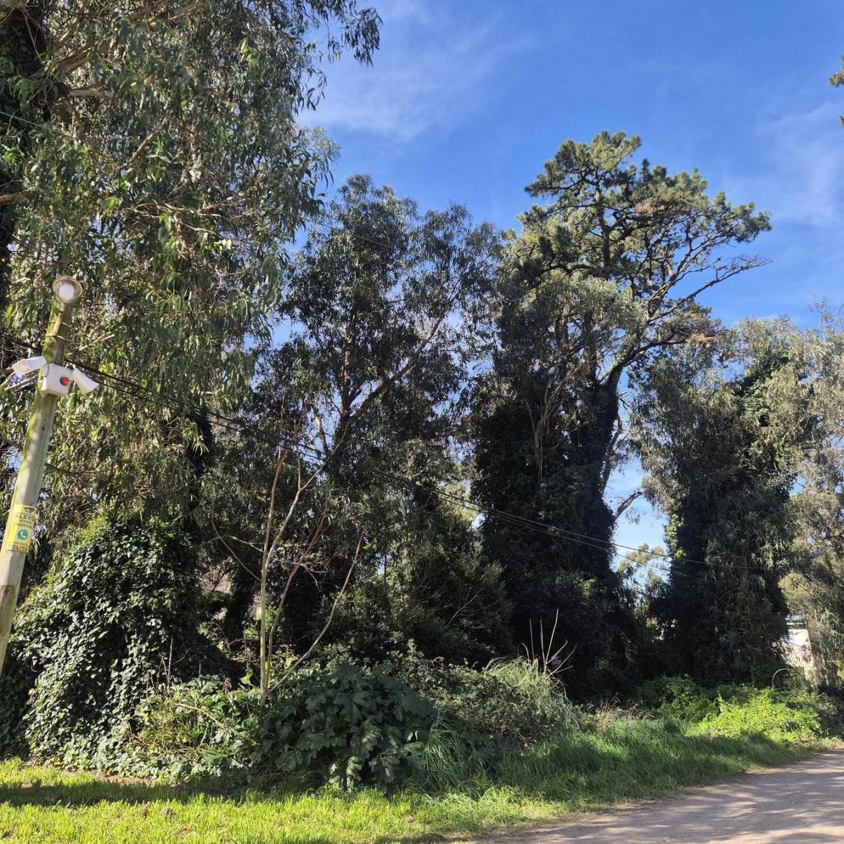 Terreno de 450 m2 en Bosque Peralta Ramos, Mar del Plata