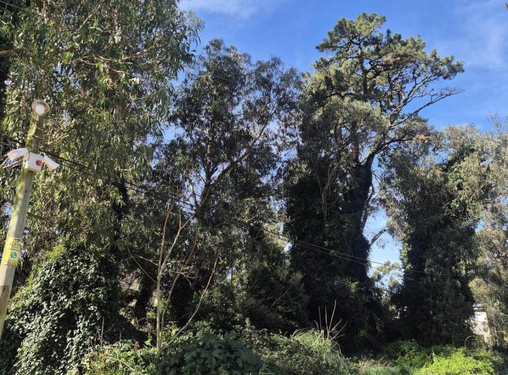 Terreno · 450m²