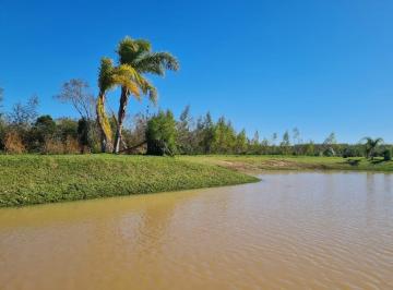 Terreno · 450m² · Lotes en Venta - Alamos del Parana - Delta