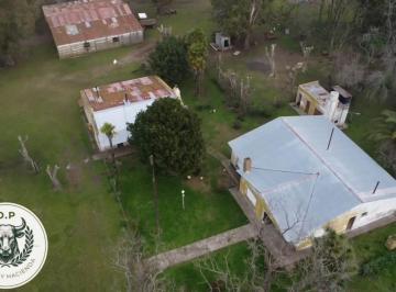 Campo · 297ha · Venta Campo Ganadero 297 Has Zona Udaquiola C\ Casa y Galpones