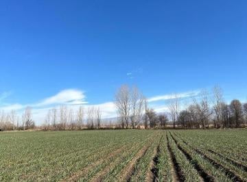 Terreno · 75000m² · Openhouse Vende Excelente Terreno en Tunuyán