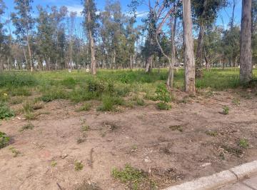 Terreno · 380m² · Nuevo Malagueño Lotes en Venta 380 m² Central con Seguridad 24hs