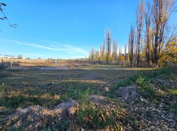 Terreno , Agrelo · Venta Lote 2000 m² Agrelo Mendoza