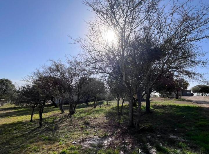 Terreno · 956m²