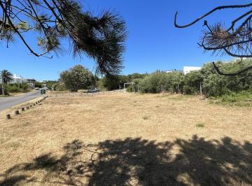Terreno · 810m² · Manzana 26 Padron 220 - Tm52661